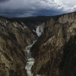 Meet your Posher, Morgan